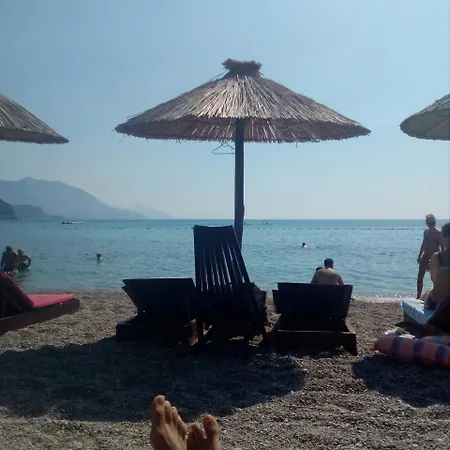 Old Town Apartment Budva